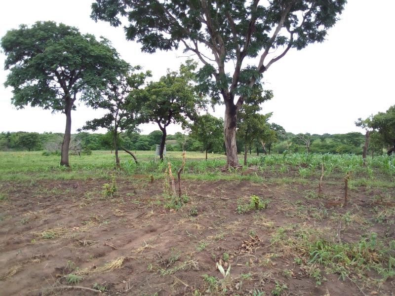 Terre agricole de 13Ha à Tekparou 