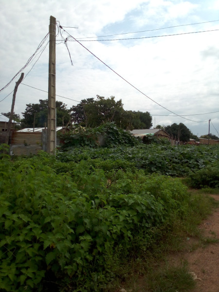 01 Parcelle de 600m² à Komiguea 