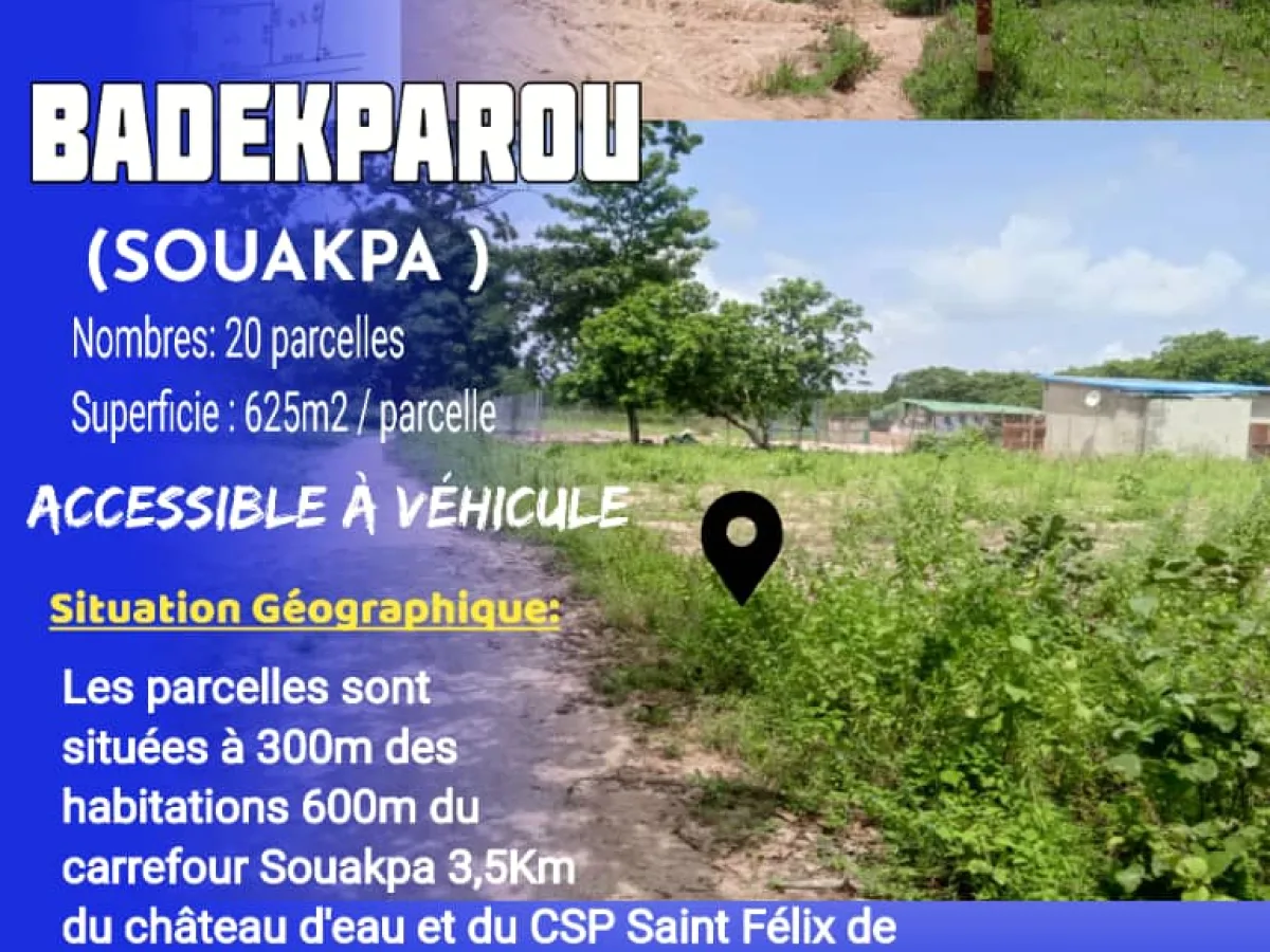 20 parcelles de 625m² chacune à BADEKPAROU