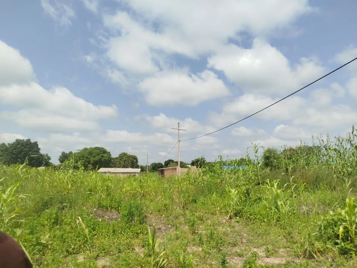 03 parcelle de 450m2 chacune à Sawararou-Bakperou /Parakou