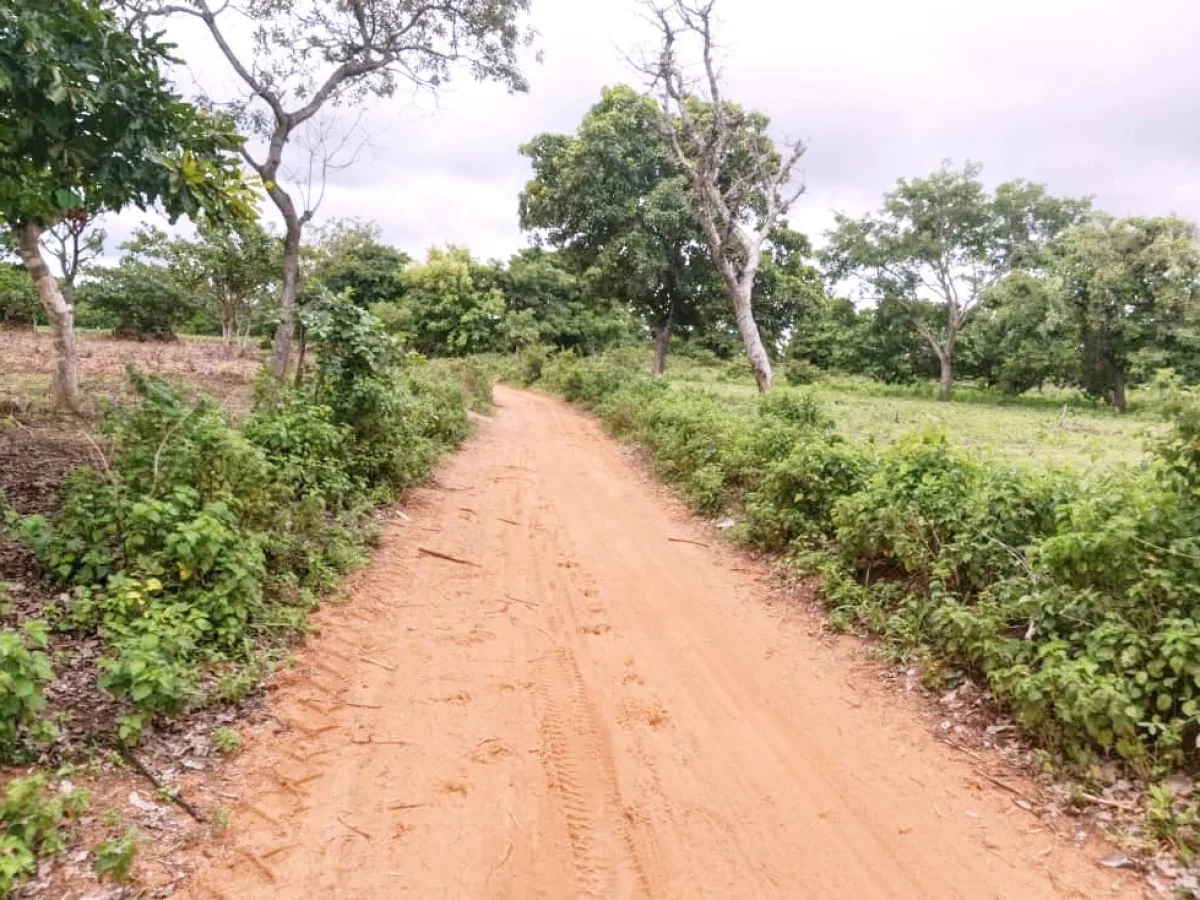 Domaine de 02 Hectares à Boko avec Attestation de Cadastre national 