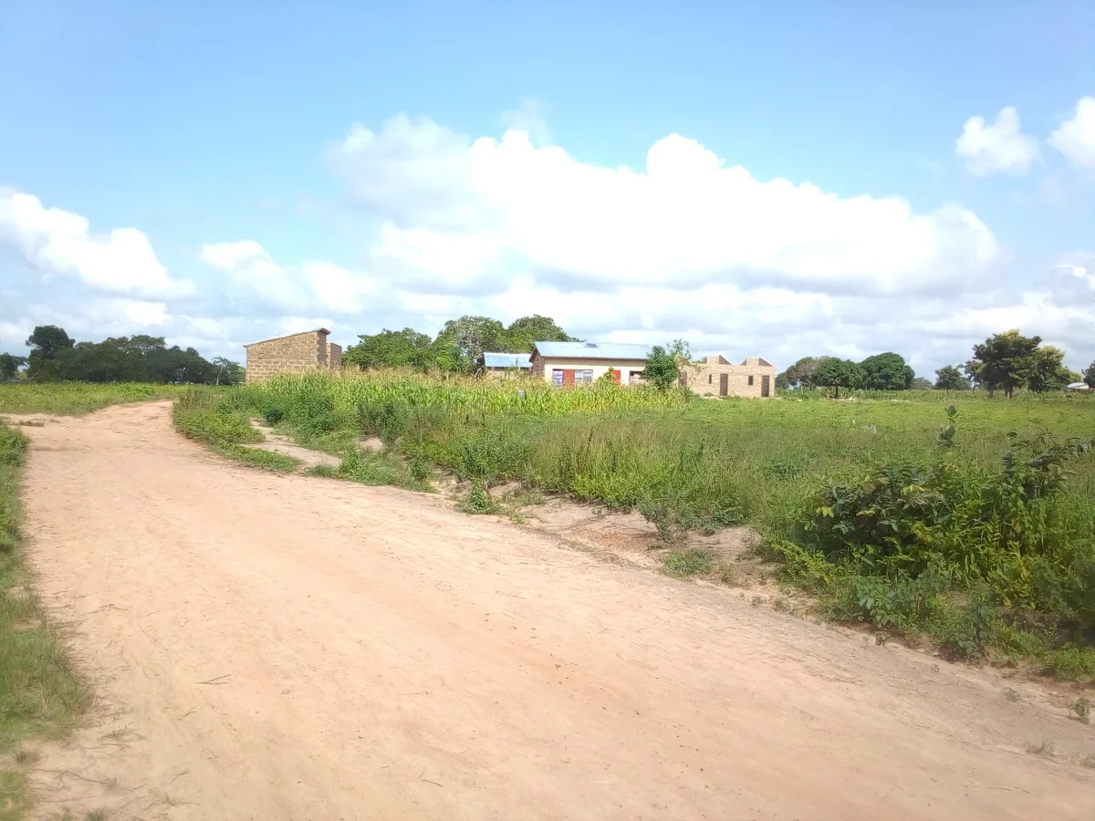 02 parcelles de 500m² chacune à Banikanni (Damabou) 