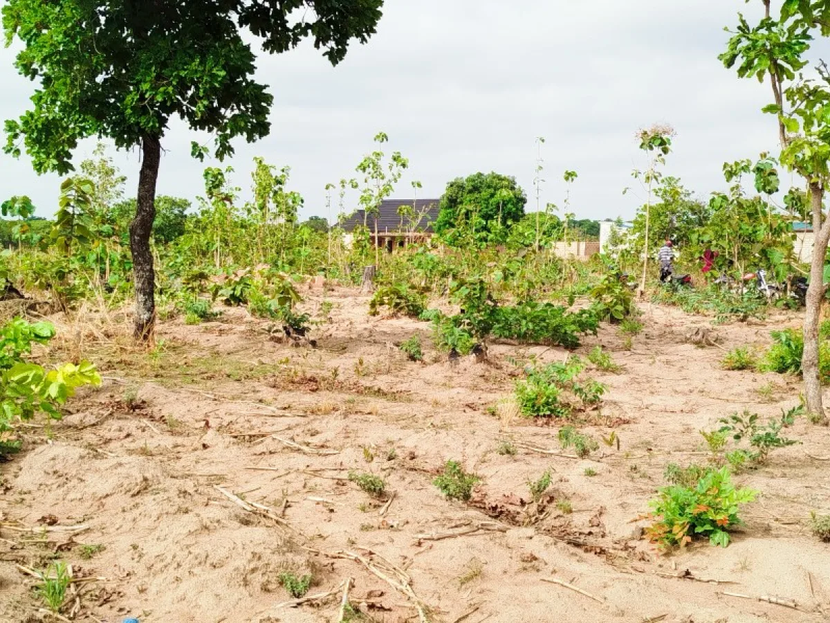02 parcelles jumelées de 500m² chacune à PARAKOU 