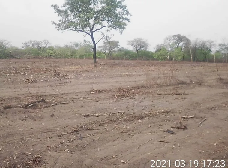 Terre agricole très fertile de 10HA